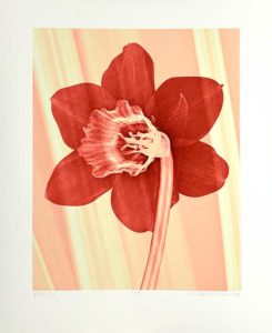 Påsklilja