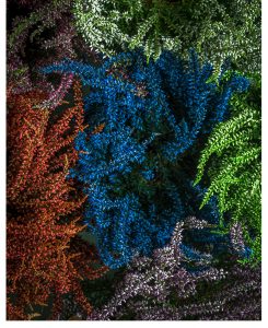 Green Fauna 2