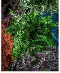 Green Fauna 1
