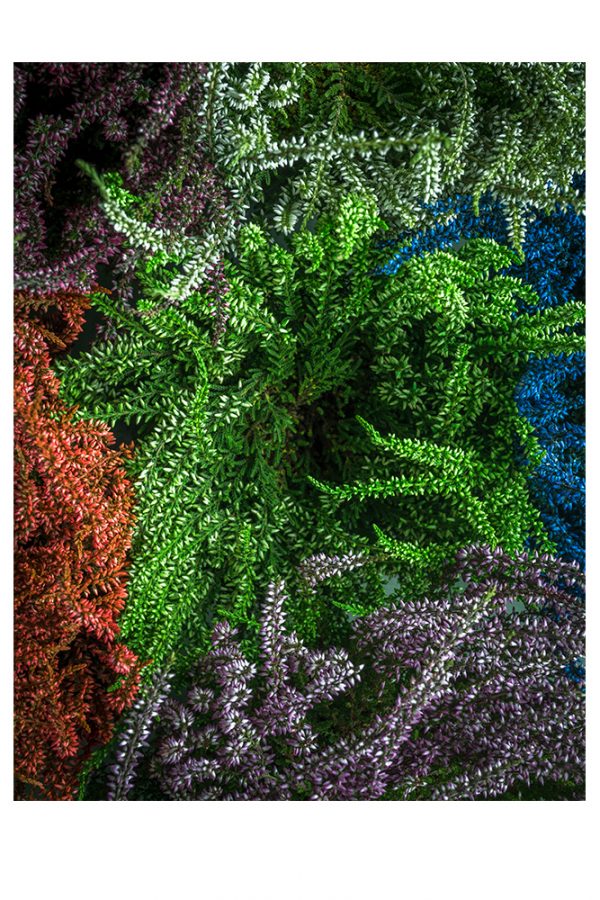 "Green Fauna 1" är ett konstverk av Peter Stridsberg gjort år 2022. Tekniken är fotografi och det finns i en upplaga på 15 exemplar . Verket mäter utfallande 60 x 42 cm, själva bildytan är 49,5 x 38 cm.