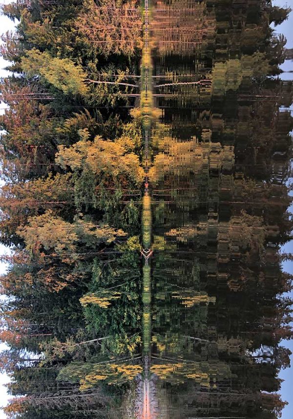 ”Viksjön 2” är ett verk av Karin Arnberg gjort år 2021. Tekniken är Fotografi och finns i en upplaga på 5 exemplar. Verket mäter 55 x 40 cm, själva bildytan är 50 x 35 cm.