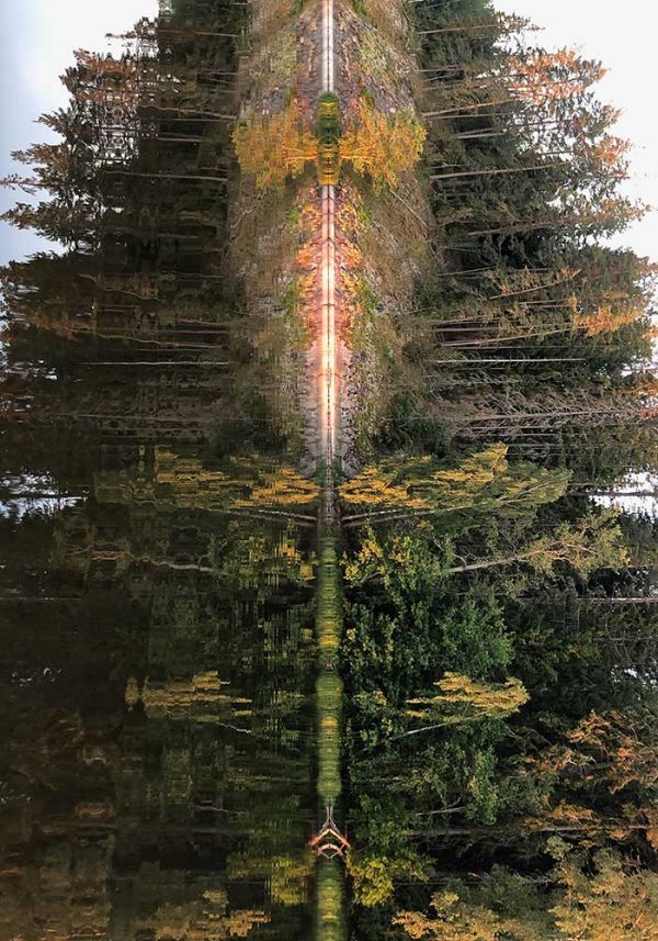 ”Viksjön 3” är ett verk av Karin Arnberg gjort år 2021. Tekniken är Fotografi och finns i en upplaga på 5 exemplar. Verket mäter 55 x 40 cm, själva bildytan är 50 x 35 cm.