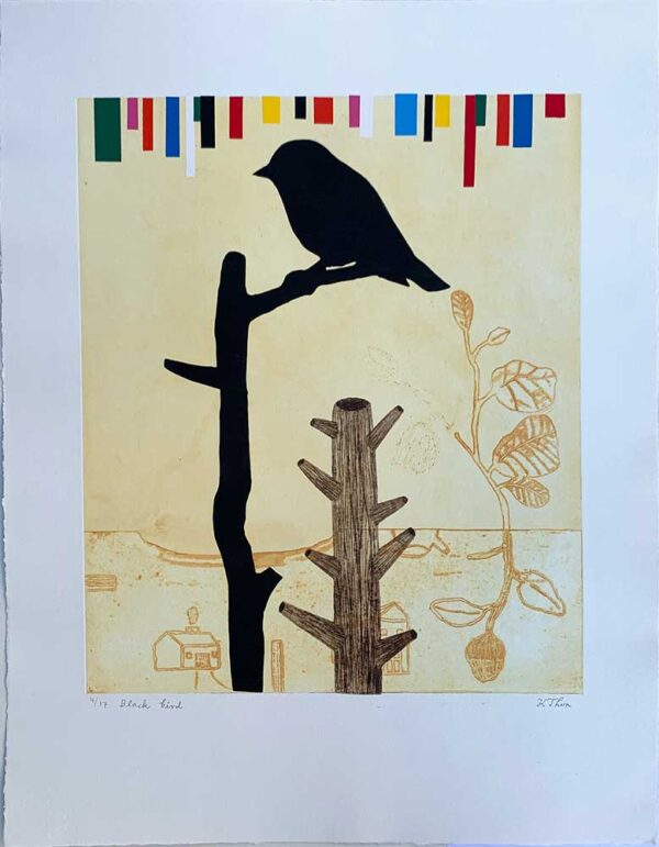 ”Black Bird” är ett verk av Kristina Thun gjort år 2021. Tekniken är Litografi, etsning och screentryck och finns i en upplaga på 17 exemplar. Verket mäter 50 x 39 cm, själva bildytan är 35,5 x 29,5 cm.