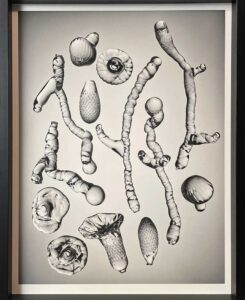 Grenar av glas 1