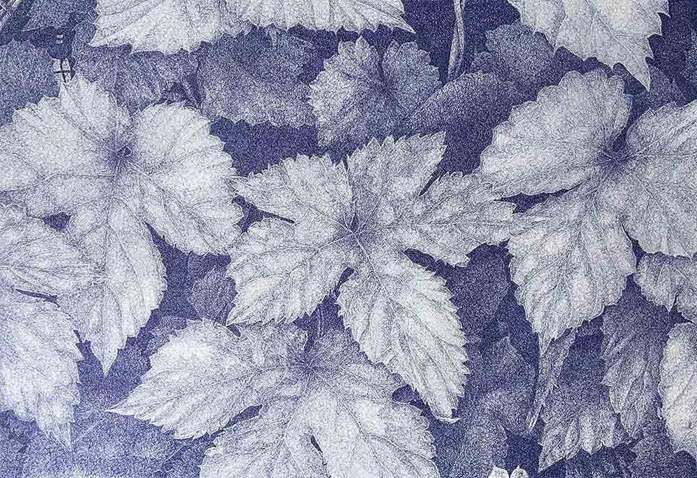 ”Västanvindsgatan 23, Löv X” är ett unikt verk av Anders Granberg gjort år 2023. Tekniken är kulspetspenna på papper i ett enda exemplar. Verket mäter 70 x 100 cm och bildytan är 63,5 x 94 cm, signerat av konstnären på baksidan.