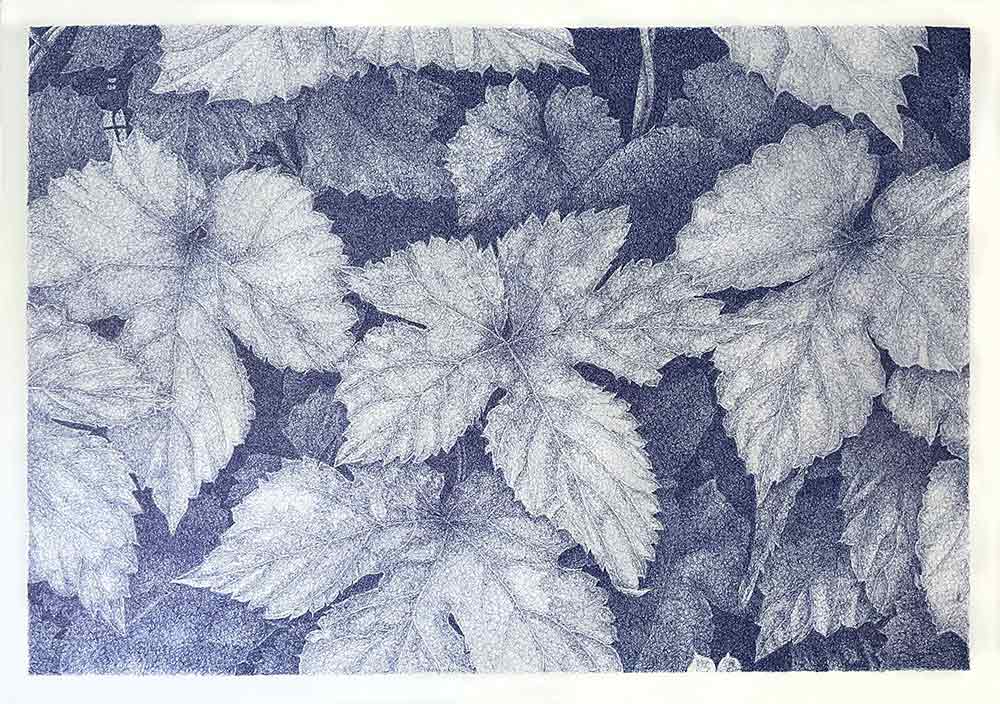 ”Västanvindsgatan 23, Löv IX” är ett unikt verk av Anders Granberg gjort år 2023. Tekniken är kulspetspenna på papper i ett enda exemplar. Verket mäter 70 x 100 cm och bildytan är 63,5 x 94 cm, signerat av konstnären på baksidan.