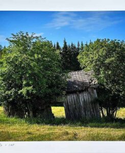 The barn 1