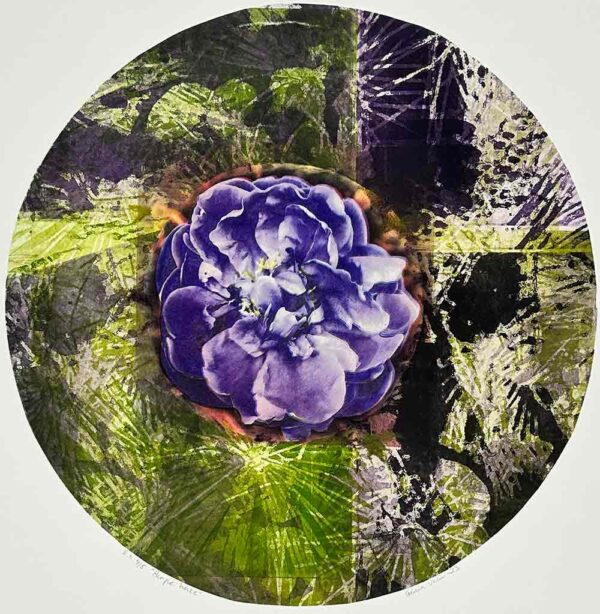 "Purple haze" är ett konstverk av Cecilia Uhlin. Det är en fotopolymer gjord 2023 i en upplaga om 5 exemplar och mäter 49 x 49 cm, med en bildyta på 40 x 40 cm. Signerat och numrerat på framsidan av konstnären.