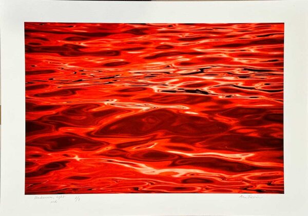 ”Unknown, light red" är ett verk av Ann Frössén gjort år 2024. Tekniken är fotografi, på matt papper och finns i en upplaga av 3. Verket mäter 42 x 59 cm, med bildyta på 33 x 50 cm. Signerat och numrerat på framsida och baksida.