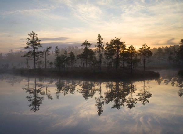 ”Gryning” är ett verk av Håkan Strand gjort år 2024. Det är ett fotografi på papper och finns i en upplaga på 15 exemplar. Verket mäter 50 x 70 cm, själva bilden är 44 x 60 cm. Signerad och numrerad på baksidan av konstnären.