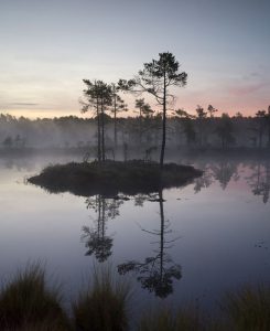 Knuthöjdsmossen