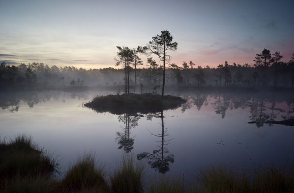 ”Knuthöjdsmossen” är ett verk av Håkan Strand gjort år 2024. Det är ett fotografi på papper och finns i en upplaga på 15 exemplar. Verket mäter 50 x 70 cm, själva bilden är 40 x 61 cm. Signerad och numrerad på baksidan av konstnären.