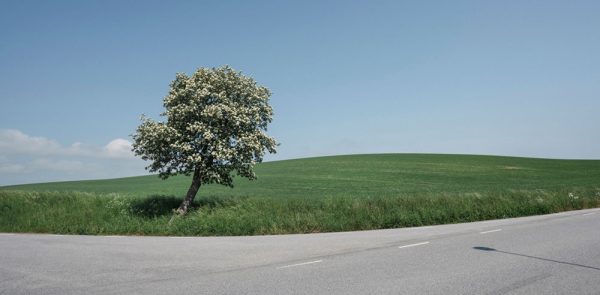 ”Österlen” är ett verk av Håkan Strand gjort år 2024. Det är ett fotografi på papper och finns i en upplaga på 15 exemplar. Verket mäter 50 x 90 cm, själva bilden är 39 x 80 cm. Signerad och numrerad på baksidan av konstnären.