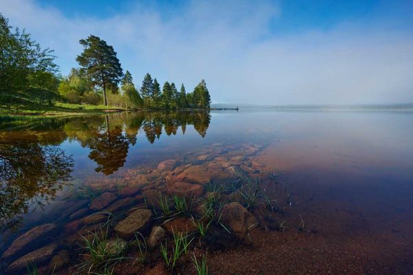 ”Quiet Summer Morning 4” är ett verk av Anders Ludvigson gjort år 2022. Tekniken är fotografi på matt papper och finns i en upplaga på 9 exemplar + 1 AP. Verket mäter 47,5 x 67,5 cm, själva bildytan är 40 x 60 cm. Signerat och numrerat av konstnären.