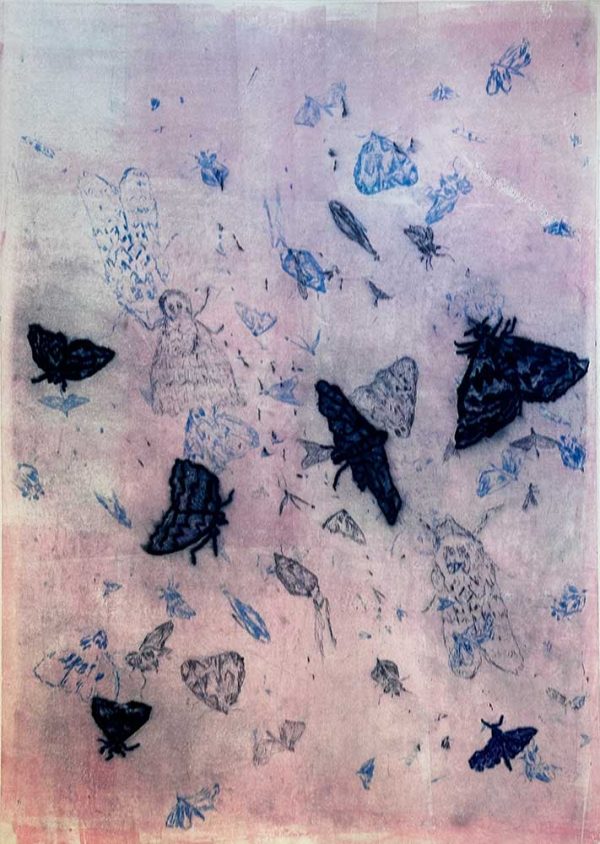 ”Nattfly” är ett verk av Annalena Törnström gjort år 2025. Tekniken är torrnål på papper och finns i en upplaga på 1 exemplar. Verket mäter 78 x 56 cm, själva bildytan är 70 x 50 cm. Signerat och numrerat av konstnären på framsidan nedtill.