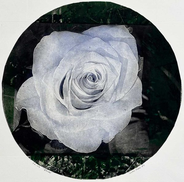 "Blonde" är ett konstverk av Cecilia Uhlin. Det är en etsning, torrnål och fotopolymer på papper gjord 2025 i en upplaga om 1 exemplar och mäter 64 x 64 cm, med en bildyta på 54 x 54 cm. Signerat och numrerat på framsidan av konstnären.