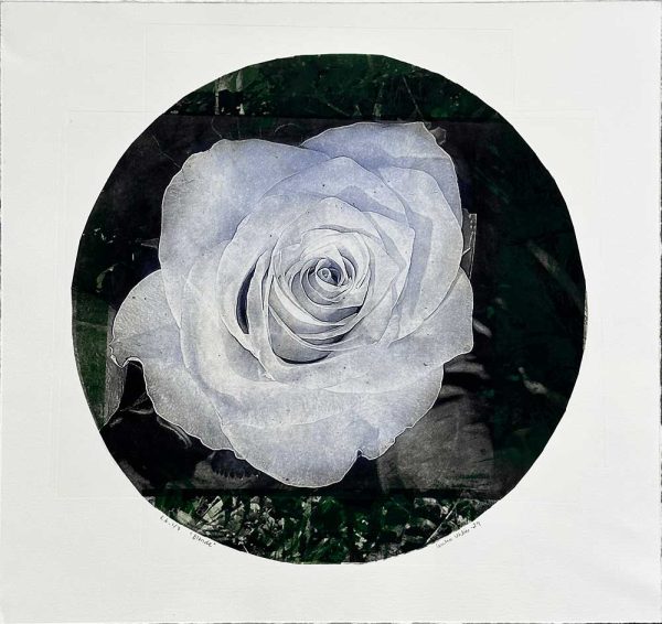 "Blonde" är ett konstverk av Cecilia Uhlin. Det är en etsning, torrnål och fotopolymer på papper gjord 2025 i en upplaga om 1 exemplar och mäter 64 x 64 cm, med en bildyta på 54 x 54 cm. Signerat och numrerat på framsidan av konstnären.