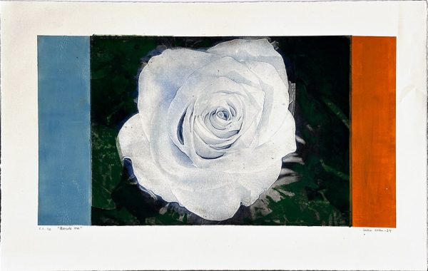 "Blonde one" är ett konstverk av Cecilia Uhlin. Det är en etsning, torrnål och fotopolymer på papper gjord 2024 i en upplaga om 2 exemplar och mäter 42 x 64 cm, med en bildyta på 30 x 54 cm. Signerat och numrerat på framsidan av konstnären.