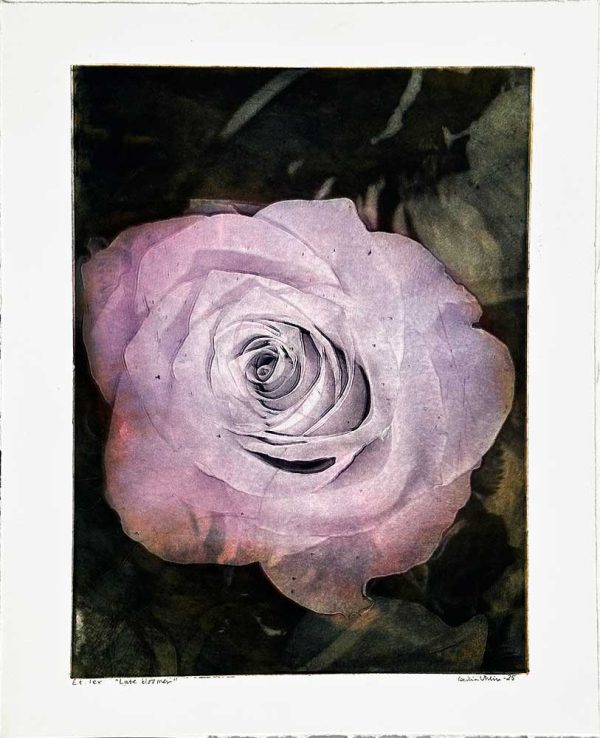 "Late bloomer" är ett konstverk av Cecilia Uhlin. Det är en etsning, torrnål och fotopolymer på papper gjord 2025 i en upplaga om 1 exemplar och mäter 48 x 39 cm, med en bildyta på 40 x 30 cm. Signerat och numrerat på framsidan av konstnären.