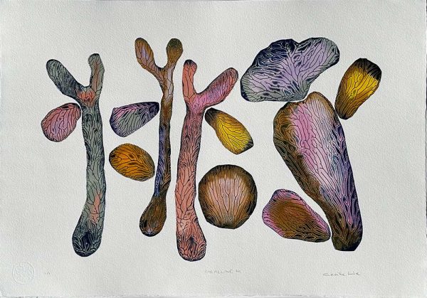 "Coralline 41" är ett verk av Cecilie Lie gjort år 2025. Tekniken är Kollografi, handkolorering på bomullspapper och finns i en upplaga på 1. Verket mäter 39 x 57 cm. Det är signerat på framsidan.