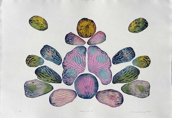 "Coralline 43" är ett verk av Cecilie Lie gjort år 2025. Tekniken är Kollografi, handkolorering på bomullspapper och finns i en upplaga på 1. Verket mäter 39 x 57 cm. Det är signerat på framsidan.