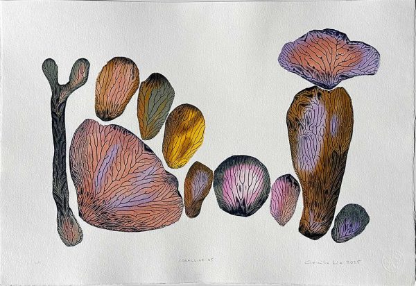 "Coralline 45" är ett verk av Cecilie Lie gjort år 2025. Tekniken är Kollografi, handkolorering på bomullspapper och finns i en upplaga på 1. Verket mäter 39 x 57 cm. Det är signerat på framsidan.