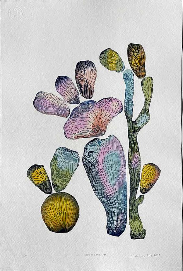 "Coralline 48" är ett verk av Cecilie Lie gjort år 2025. Tekniken är Kollografi, handkolorering på bomullspapper och finns i en upplaga på 1. Verket mäter 57 x 39 cm. Det är signerat på framsidan.