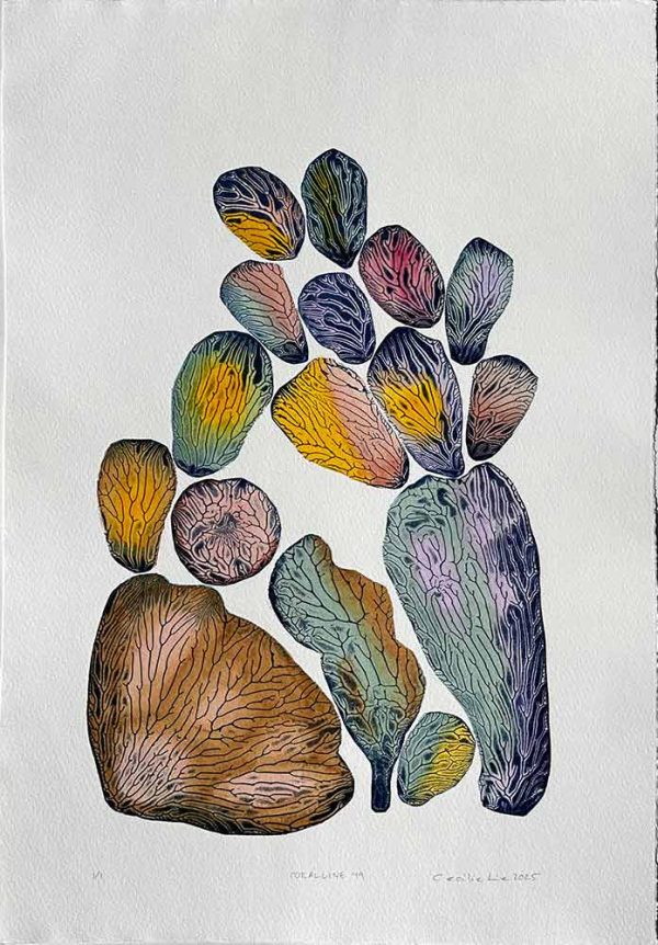 "Coralline 49" är ett verk av Cecilie Lie gjort år 2025. Tekniken är Kollografi, handkolorering på bomullspapper och finns i en upplaga på 1. Verket mäter 57 x 39 cm. Det är signerat på framsidan.