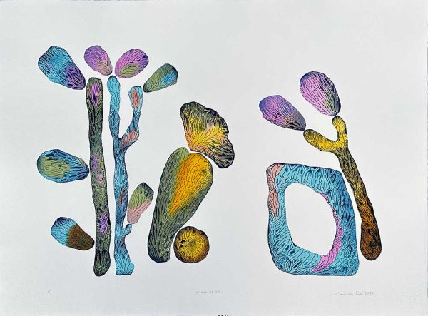 "Coralline 55" är ett verk av Cecilie Lie gjort år 2025. Tekniken är Kollografi, handkolorering på bomullspapper och finns i en upplaga på 1. Verket mäter 57 x 74 cm. Det är signerat på framsidan.
