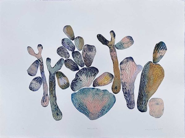 "Coralline 56" är ett verk av Cecilie Lie gjort år 2025. Tekniken är Kollografi, handkolorering på bomullspapper och finns i en upplaga på 1. Verket mäter 57 x 74 cm. Det är signerat på framsidan