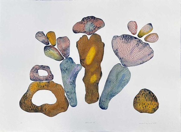 "Coralline 57" är ett verk av Cecilie Lie gjort år 2025. Tekniken är Kollografi, handkolorering på bomullspapper och finns i en upplaga på 1. Verket mäter 57 x 74 cm. Det är signerat på framsidan.