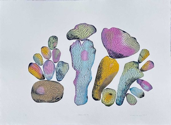 "Coralline 58" är ett verk av Cecilie Lie gjort år 2025. Tekniken är Kollografi, handkolorering på bomullspapper och finns i en upplaga på 1. Verket mäter 57 x 74 cm. Det är signerat på framsidan.