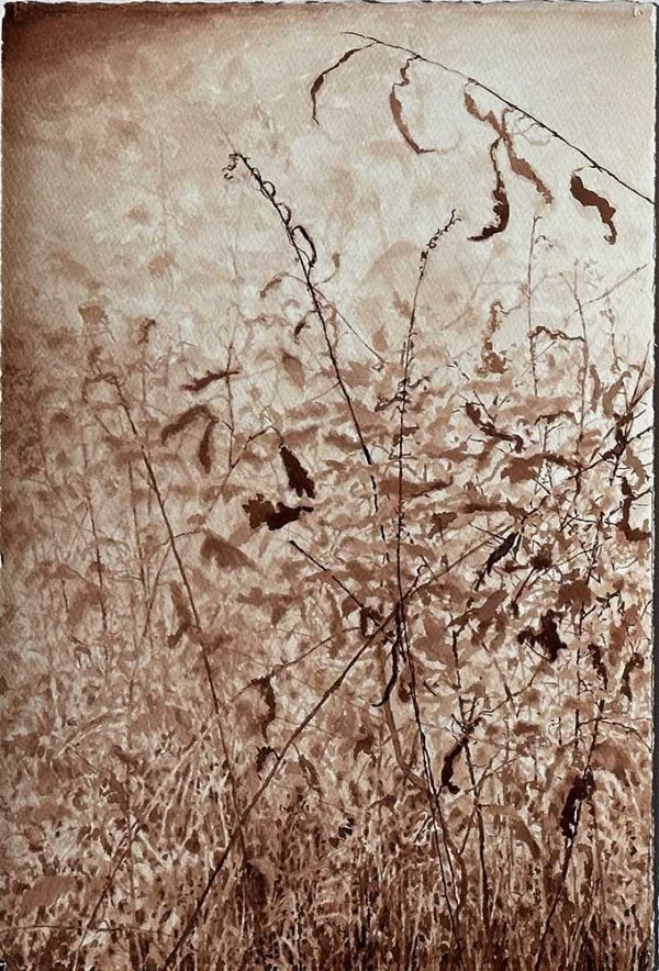 "Höstvind" är en akvarell på rivet papper av Stefan Lindqvist, målad år 2025. Konstverket mäter 57 x 39 cm per blad, det är en diptyk dvs två blad. Signerat på baksidan.