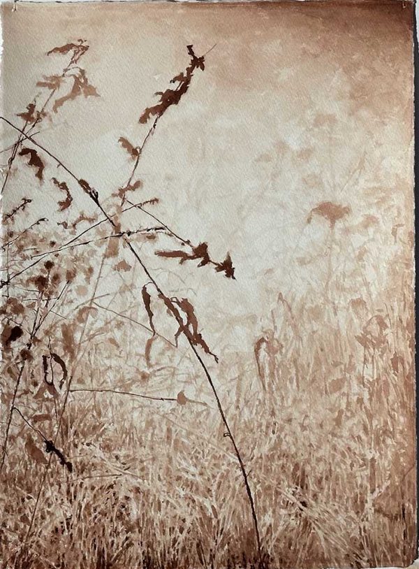 "Höstvind" är en akvarell på rivet papper av Stefan Lindqvist, målad år 2025. Konstverket mäter 57 x 39 cm per blad, det är en diptyk dvs två blad. Signerat på baksidan.