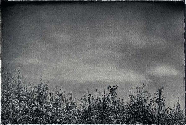 "Skymning" är en akvarell på rivet papper av Stefan Lindqvist, målad år 2024. Konstverket mäter 57 x 39 cm per blad, det är en triptyk dvs tre blad. Signerat på baksidan.