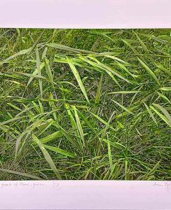 Green green grass of home, green