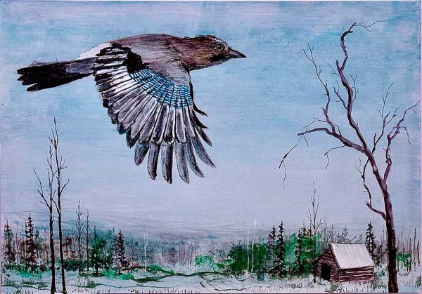 ”Jag såg en nötskrika” är ett verk av Fredrik Lindberg gjort år 2025. Tekniken är akryl på papper och verket är unikt. Verket mäter 20 x 30 cm, signerat av konstnären på baksidan, a tergo.