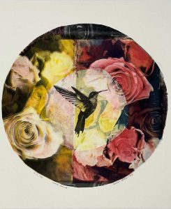 Rose-bird