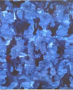 Under the same water – Hydrologies 99