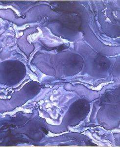 Under the same water – Hydrologies 2