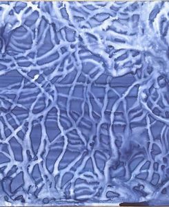 Under the same water – Hydrologies 29