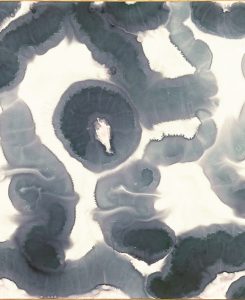 Under the same water – Hydrologies 32